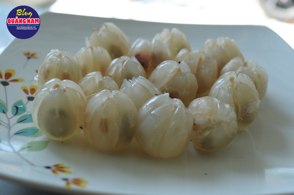 Về Tiên Phước ăn trái bòn bon - Ảnh 17.
